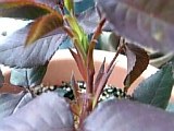 e0098908_22111769.jpg