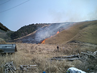 e0100618_10234990.jpg