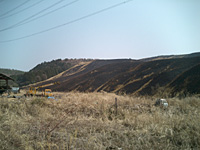 e0100618_102491.jpg