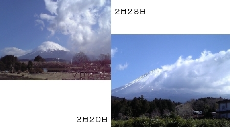 春霞_b0093221_2345133.jpg