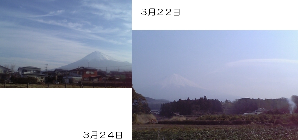 春霞_b0093221_2353746.jpg