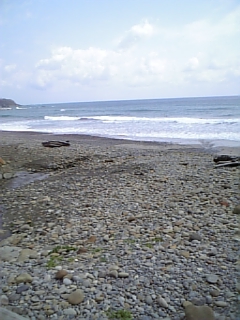f0136926_9245122.jpg