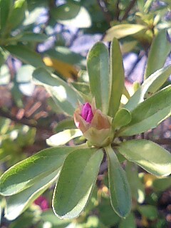 f0020837_1352129.jpg