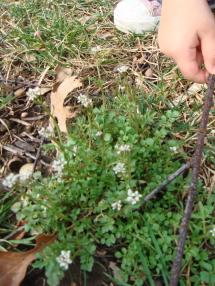 e0096340_23355930.jpg