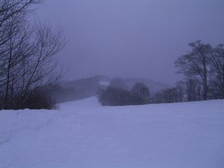 f0065341_10257.jpg