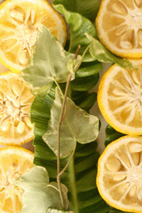 f0134642_8414810.gif