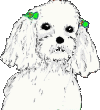 a0089450_10354063.gif