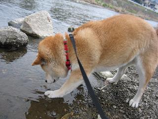 段々と。。。_c0049950_15111568.jpg