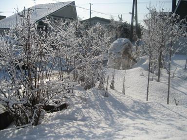 ３月２５日　　　　名残り雪と美容室_a0075455_21102410.jpg