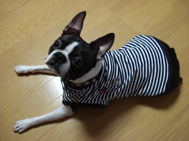 d0089157_17150.jpg