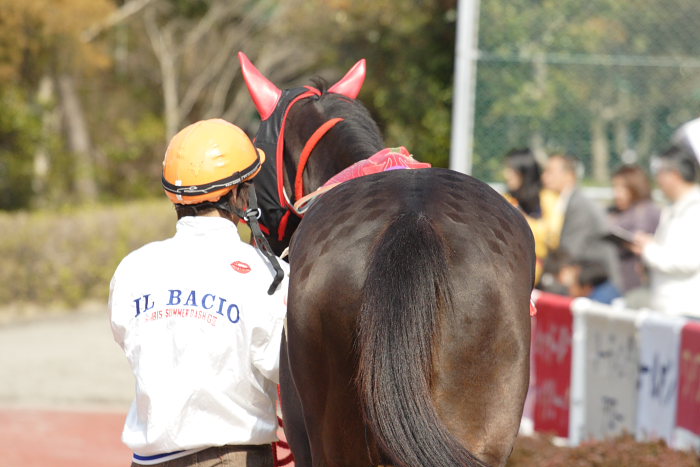 2007年3月21日(水) 高知競馬 はりまや盃 パドック_a0077663_21494331.jpg