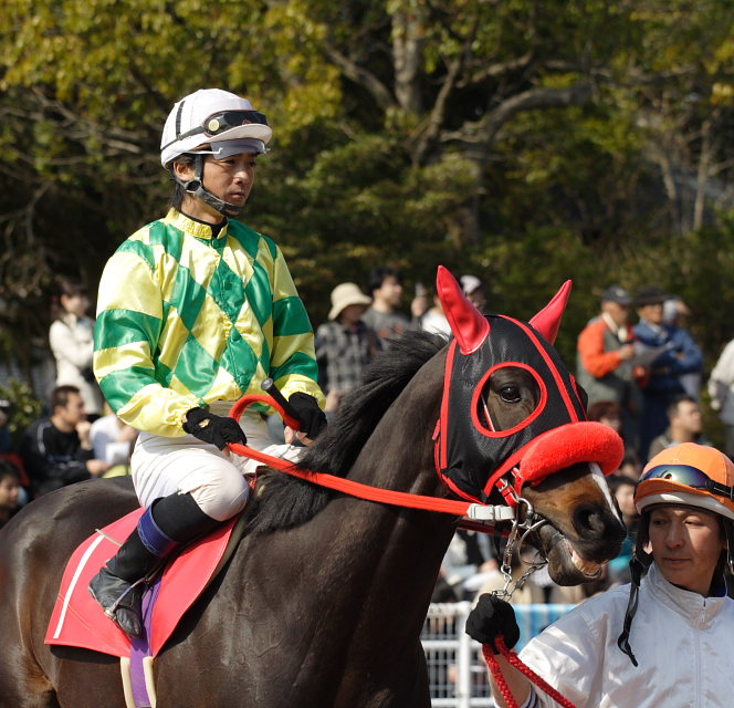 2007年3月21日(水) 高知競馬 はりまや盃 パドック_a0077663_21501327.jpg