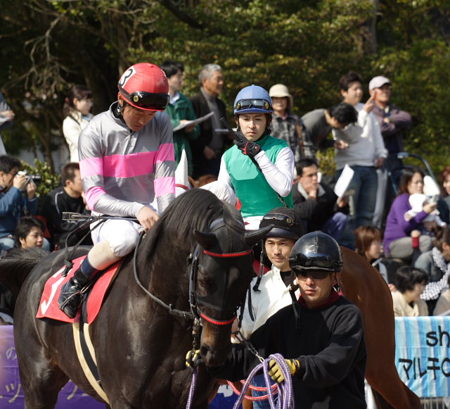 2007年3月21日(水) 高知競馬 はりまや盃 パドック_a0077663_21502656.jpg