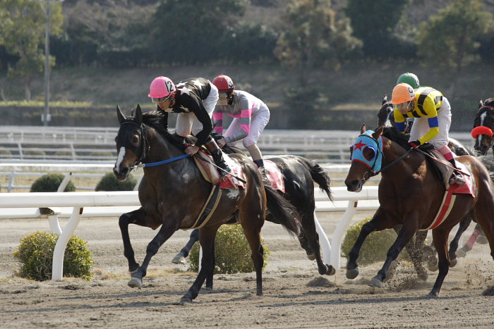2007年3月21日(水) 高知競馬 はりまや盃 パドック_a0077663_21523851.jpg
