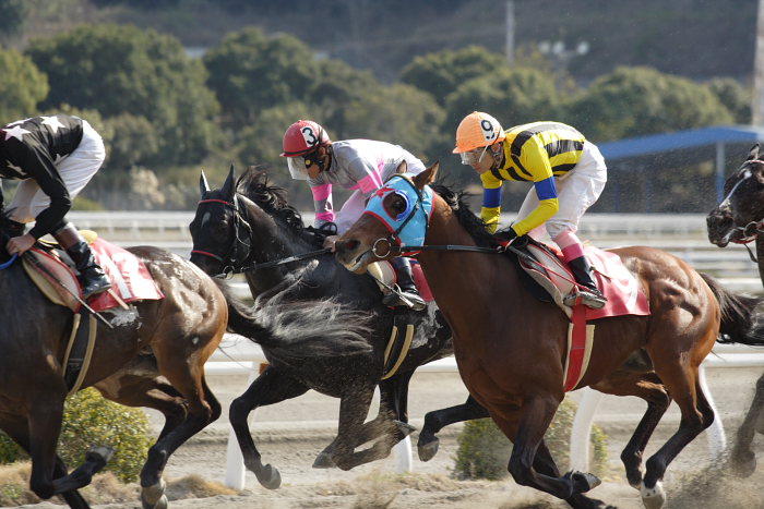 2007年3月21日(水) 高知競馬 はりまや盃 パドック_a0077663_21525570.jpg
