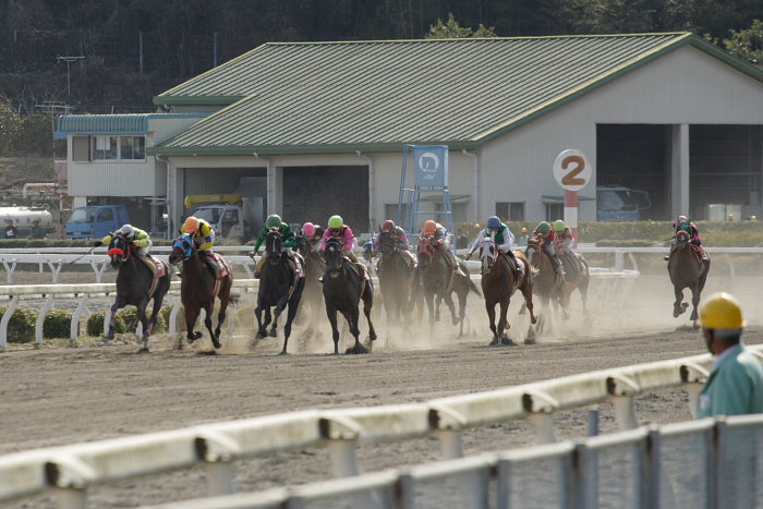 2007年3月21日（水） 高知競馬 はりまや盃 レース_a0077663_22151961.jpg
