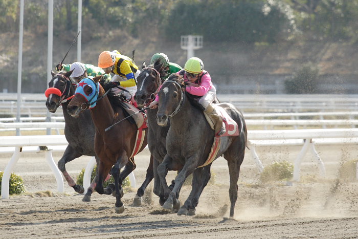2007年3月21日（水） 高知競馬 はりまや盃 レース_a0077663_22154982.jpg