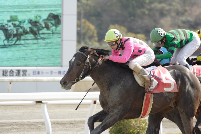 2007年3月21日(水) 高知競馬 はりまや盃 レース_a0077663_22161462.jpg