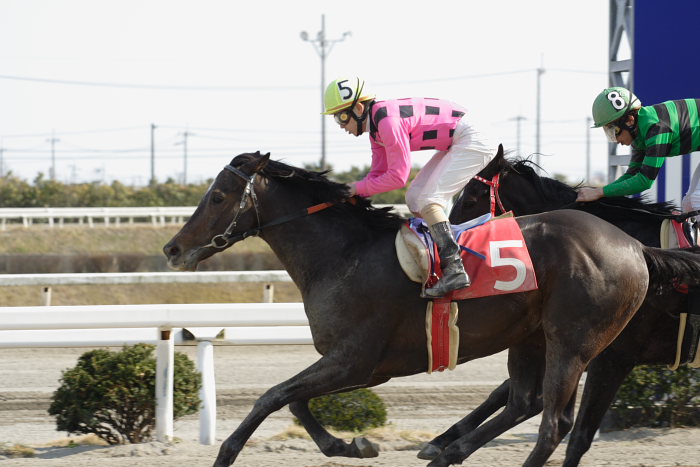 2007年3月21日(水) 高知競馬 はりまや盃 レース_a0077663_22163823.jpg