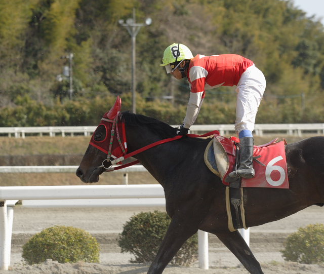 2007年3月21日(水) 高知競馬 はりまや盃 レース_a0077663_2217252.jpg