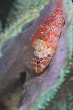d0056263_07032.jpg