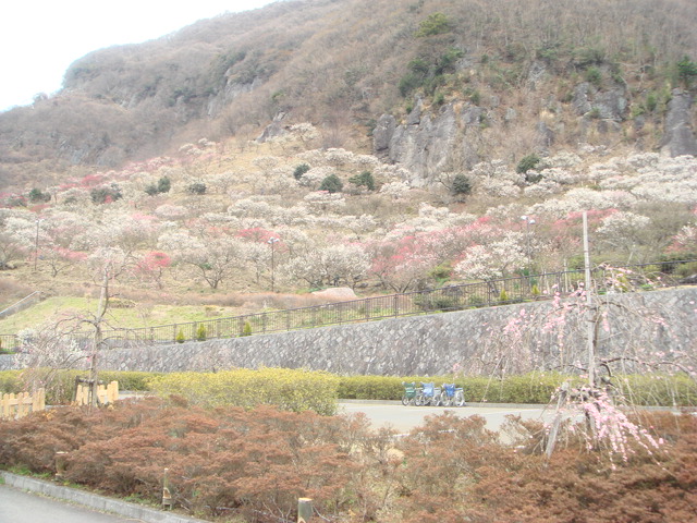 e0078564_352089.jpg