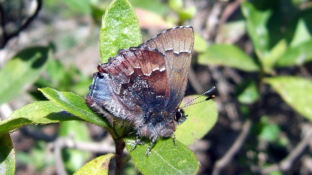 d0019074_953525.jpg