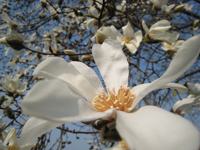 f0127675_4323967.jpg