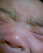 e0061304_18692.jpg