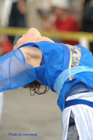 a0094711_16412752.gif
