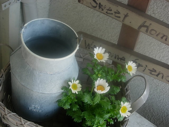 c0085916_15413367.jpg