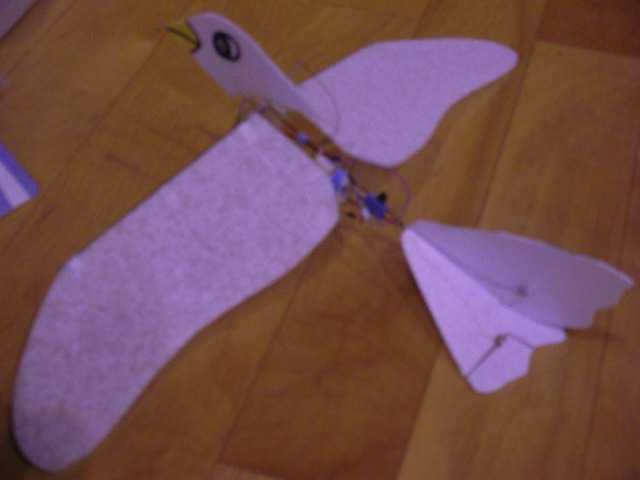 2007年3月25日 IAC-ASO飛行会_d0067943_23424744.jpg