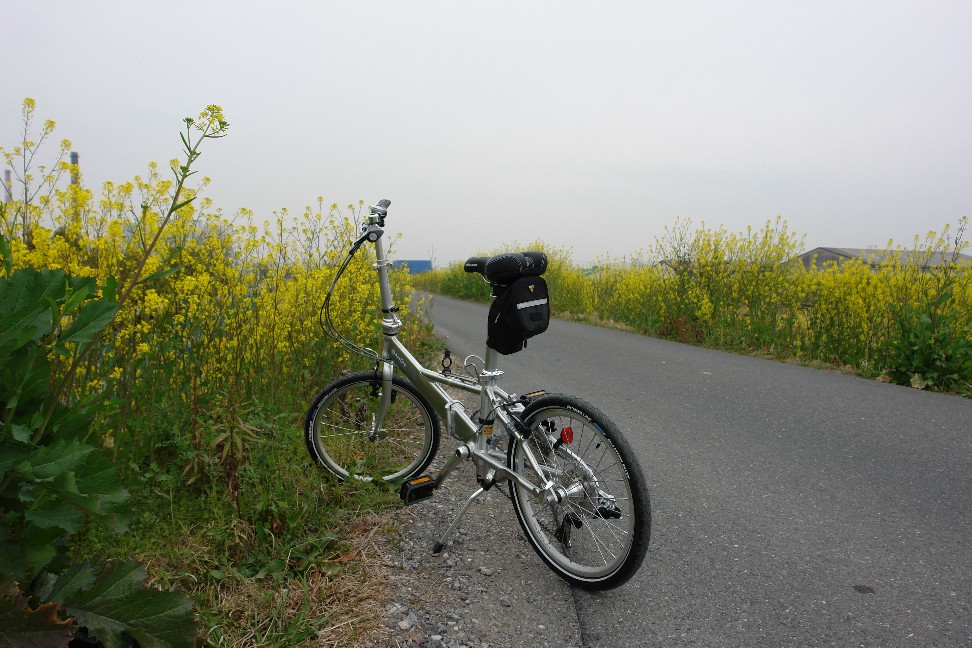 b0088444_0789.jpg