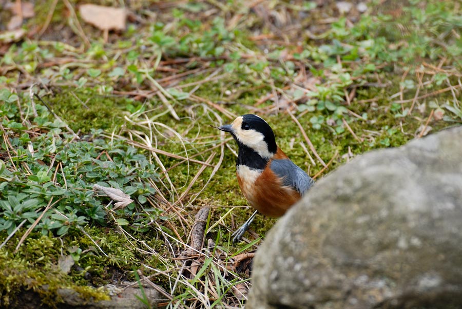 a0039245_05476.jpg