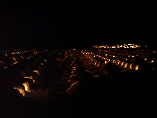 f0048547_1724313.jpg