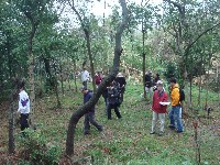 c0108460_20371593.jpg