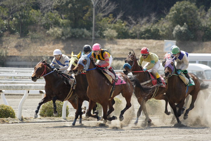 2007年3月21日（水） 高知競馬 4R ビバックス特別 レース_a0077663_1515632.jpg