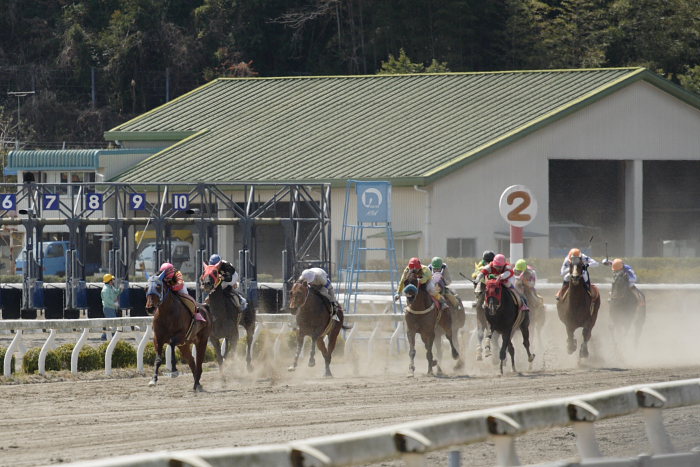 2007年3月21日（水） 高知競馬 4R ビバックス特別 レース_a0077663_152148.jpg
