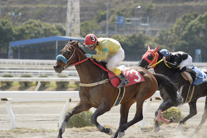 2007年3月21日(水) 高知競馬 4R ビバックス特別 レース_a0077663_1523263.jpg