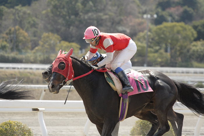 2007年3月21日(水) 高知競馬 4R ビバックス特別 レース_a0077663_1524463.jpg