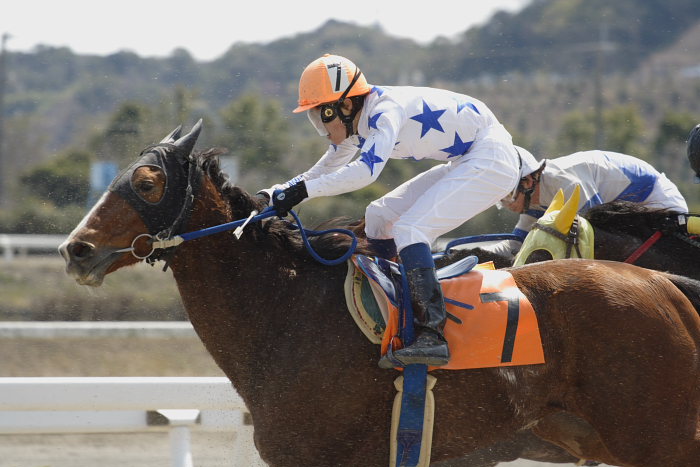 2007年3月21日(水) 高知競馬 4R ビバックス特別 レース_a0077663_1525699.jpg