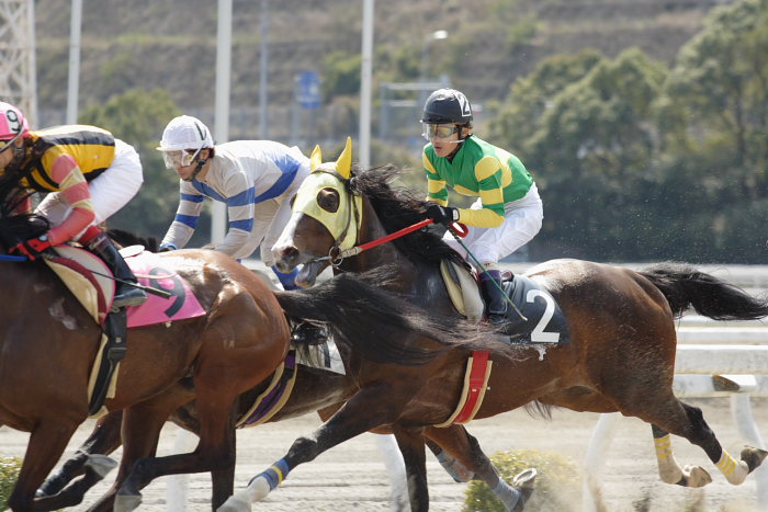 2007年3月21日(水) 高知競馬 4R ビバックス特別 レース_a0077663_152591.jpg