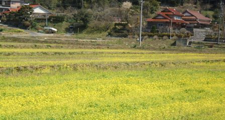 f0088569_0474665.jpg