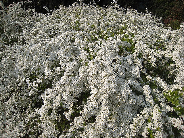f0127675_23445162.jpg