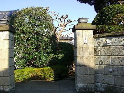 c0078480_16435735.jpg