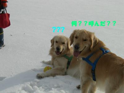 c0106480_2217355.jpg