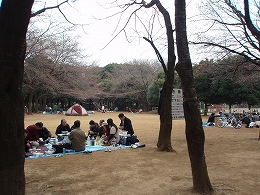 1. 世田谷公園_c0105785_8265135.jpg