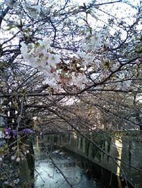 b0059000_1725540.jpg