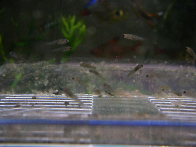 e0010301_16455763.jpg