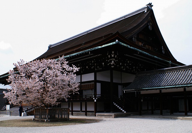e0039703_1573390.jpg
